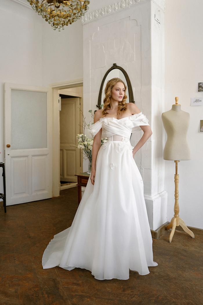 Verbena / Вербена